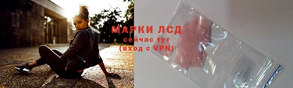 индика Бронницы